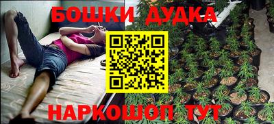 стаф Пушкино