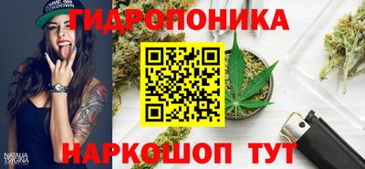 ГАЛЛЮЦИНОГЕННЫЕ ГРИБЫ Пугачёв