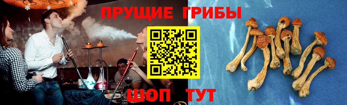 Протвино  Псилоцибиновые грибы ЛСД  купить наркотики цена  Вход с VPN 
